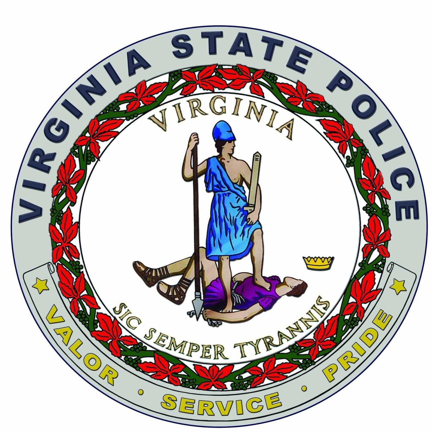 VSP